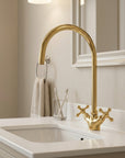 Unlacquered Brass Gooseneck Bathroom Sink Faucet