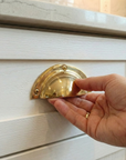 Brass Cast Drawer Pull Handle: Shell Furniture Handle