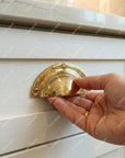 Brass Cast Drawer Pull Handle: Shell Furniture Handle